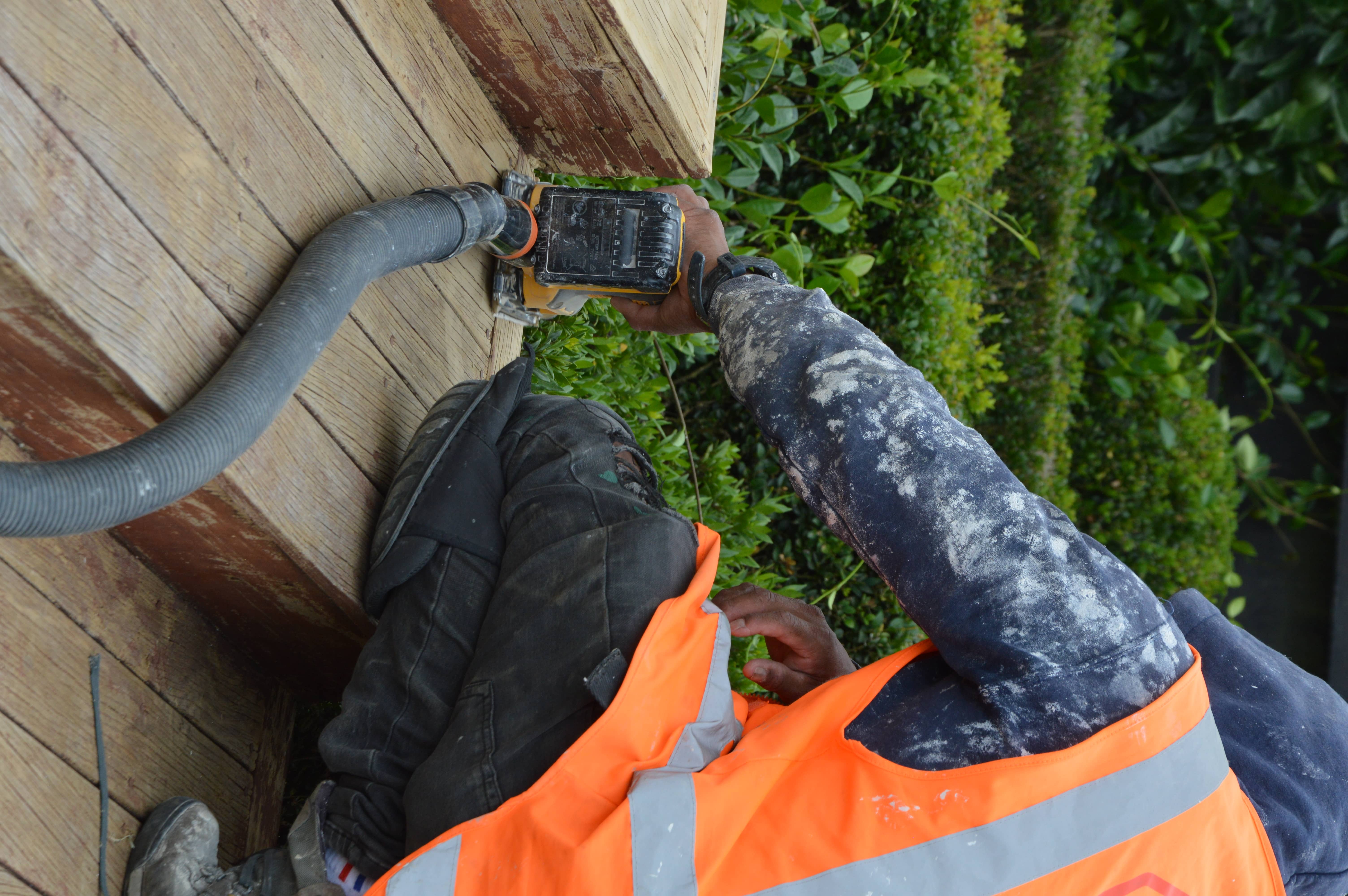Milford, Auckland project photo 2