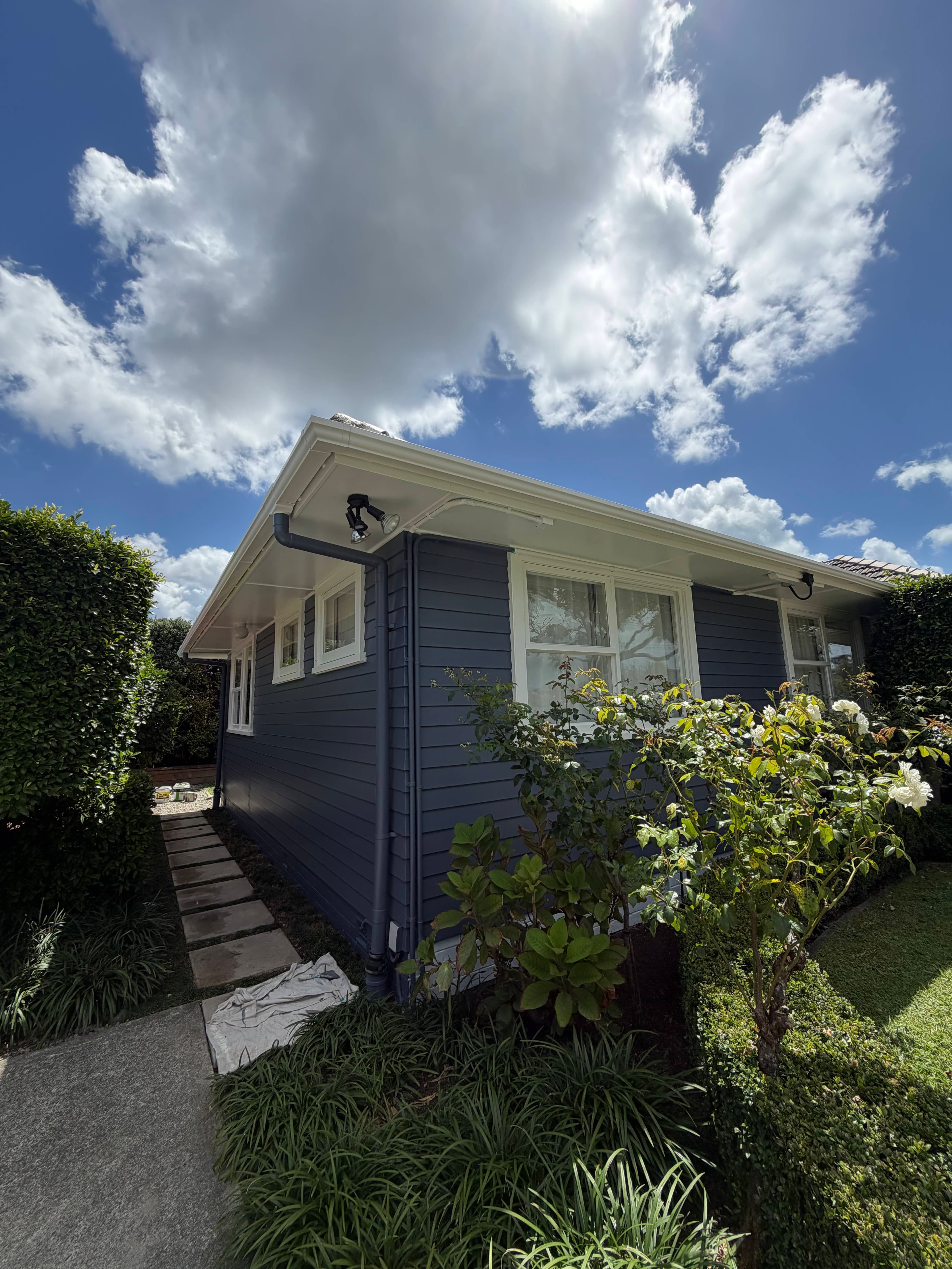 Milford, Auckland project photo 9