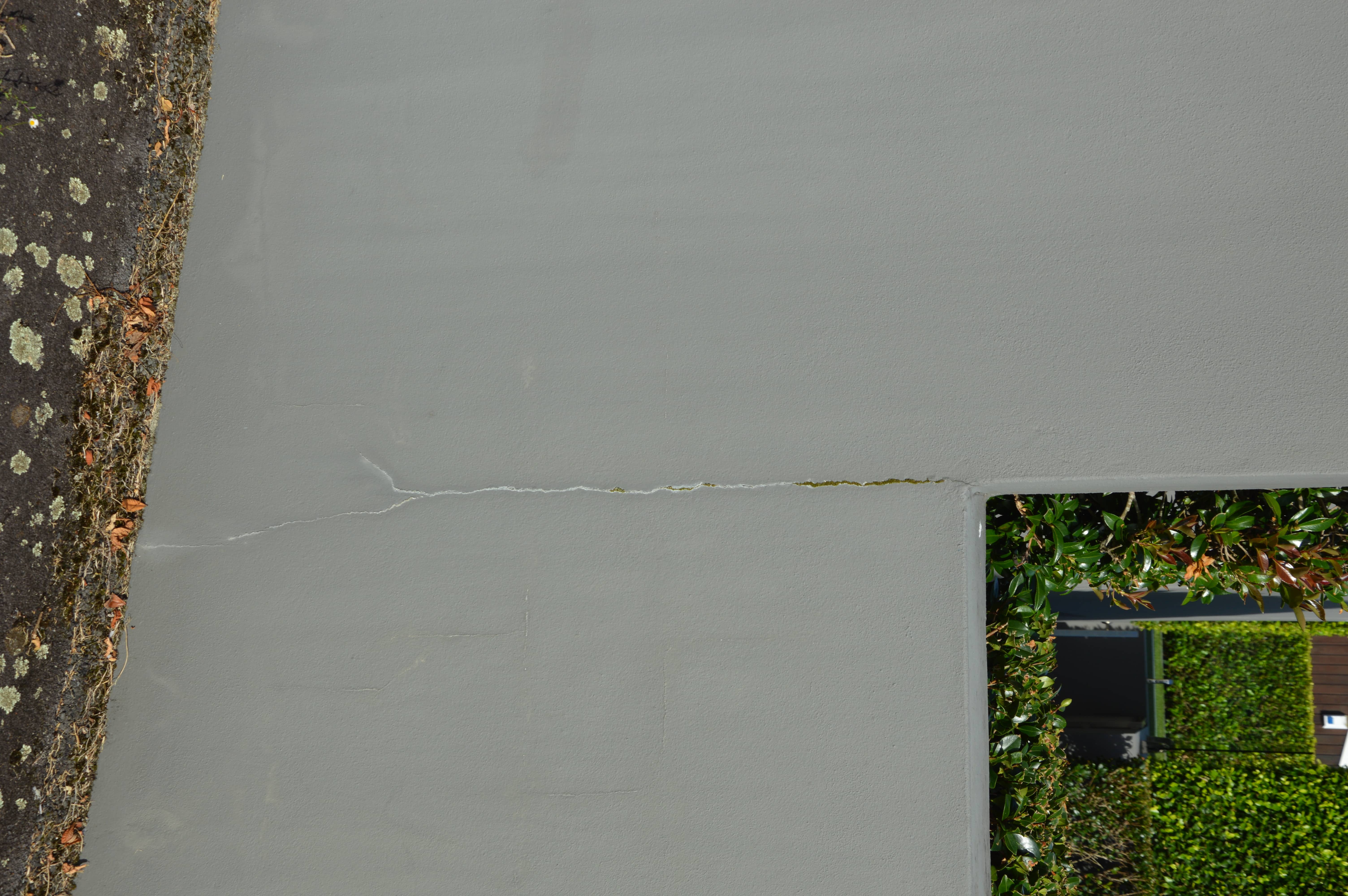 Remuera, Auckland project photo 4